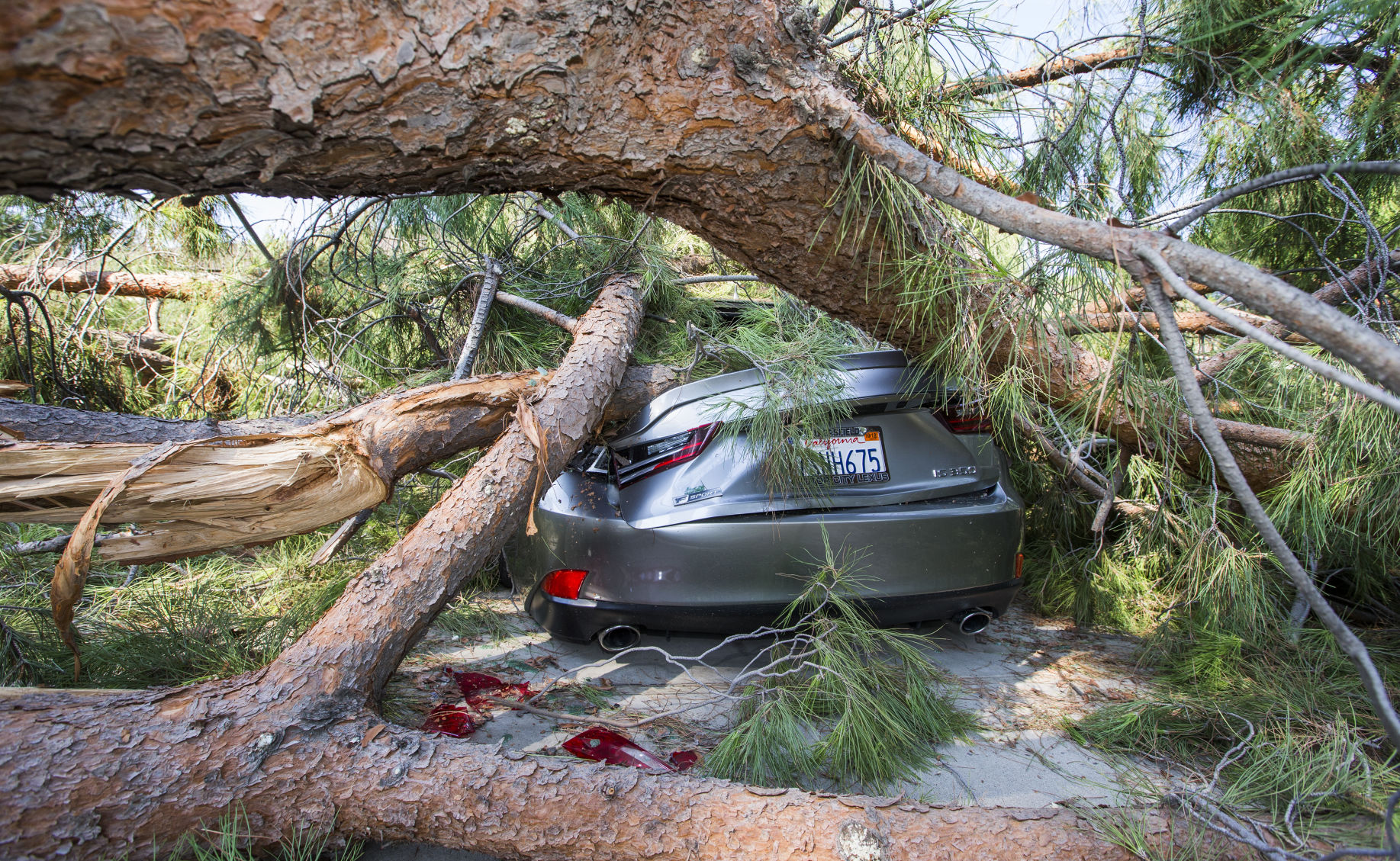 car smashed